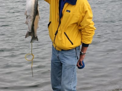 Homer: Herb with Salmon Dinner