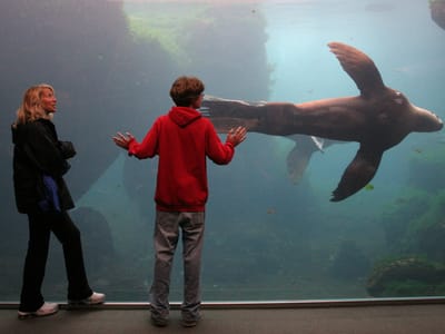 Miller's Landing - Seward: Michelle and Tommy at Alaskan Sea Life Center