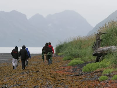Miller's Landing - Seward: Gang hiking on Caine's Head Coastal Trail