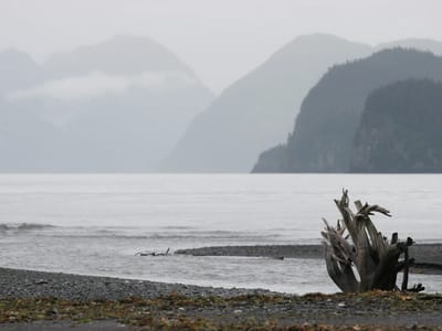 Miller's Landing - Seward: Caine's Head Coastal Trail