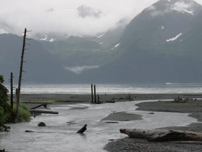 Miller's Landing - Seward: Caine's Head Coastal Trail