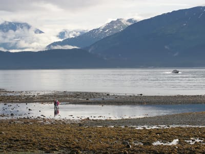 Miller's Landing - Seward: Millers Landing
