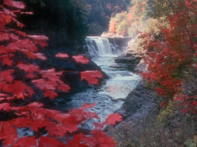 Letchworth State Park: Letchworth Falls and Leaves