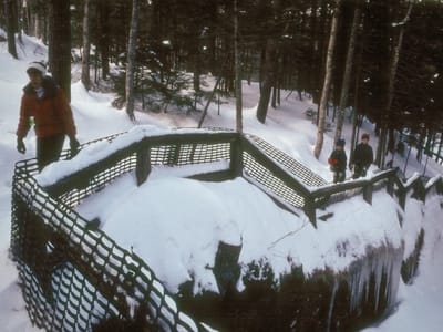 Kancamagus Highway: Lolo and Boys on Sabbaday Falls Hike