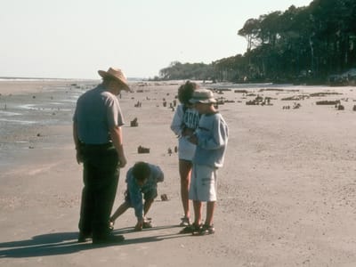 Hunting Island State Park: Ranger tour on beach