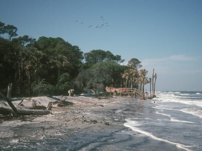 Hunting Island State Park: Hunting Island campground beach