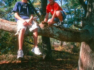 Assateague Island: Boys in trees