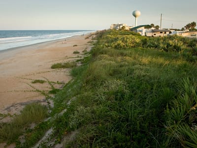 Gamble Rogers State Park: View of beach from campground bluff