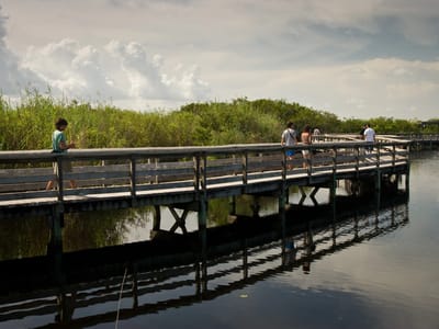 Everglades National Park: Family hiking Anhinga Trail