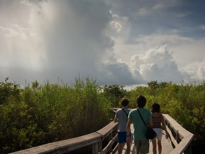 Everglades National Park: Anhinga Trail hikers with storm clouds