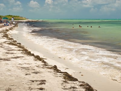 Bahia Honda State Park: Sandspur Beach