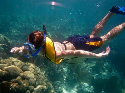John Pennekamp State Park: Tommy Snorkeling - AJG