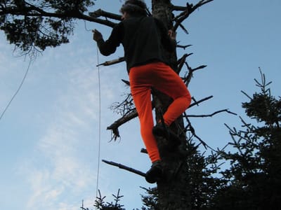 Garfield Ridge Campsite: Bear-bagging Fiasco