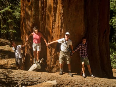 Sequoia and Kings Canyon National Parks: Sequoia Tree Huggers