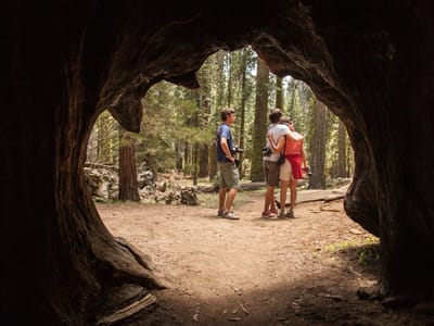 Sequoia and Kings Canyon National Parks: Family from Inside of a Burnt Out Sequoia