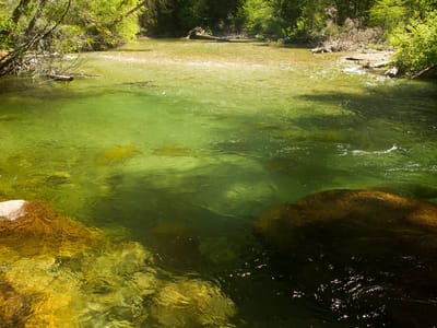 Sequoia and Kings Canyon National Parks: Bubbs Creek - TJG