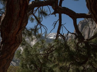 Sequoia and Kings Canyon National Parks: Mist Falls Hike Canyon View