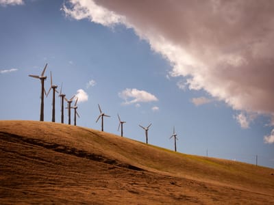 Sebastopol and Side Trips through Sonoma and Marin County: Altamont Pass Windmills - AJG