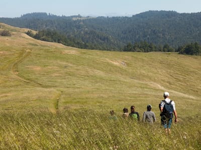 Sebastopol and Side Trips through Sonoma and Marin County: Hiking Willow Creek