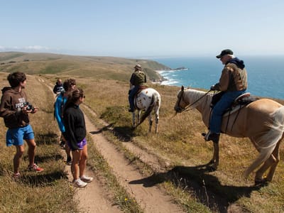 Sebastopol and Side Trips through Sonoma and Marin County: Horses on Tomales Point Trail