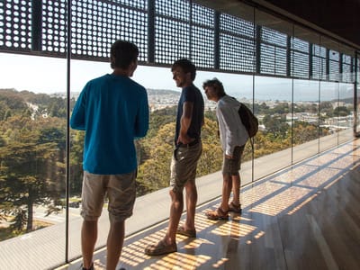Sebastopol and Side Trips through Sonoma and Marin County: Hamon Observation Tower View