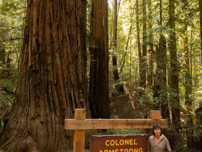 Sebastopol and Side Trips through Sonoma and Marin County: Lolo with Colonel Armstrong