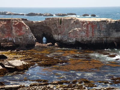 Mendocino: Point Arena Headlands