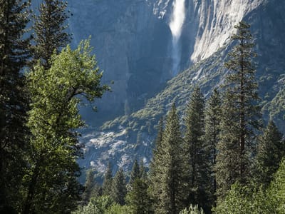Yosemite Valley: Yosemite Falls from Housekeeping Camp Bridge