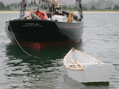 Edgartown: Dog on Sailboat Vela with Dinghy