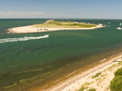 Chappaquiddick: Gut View from the Rental House on the Bluff