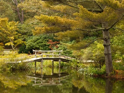 Chappaquiddick: Mytoi Garden Arched Wooden Bridge