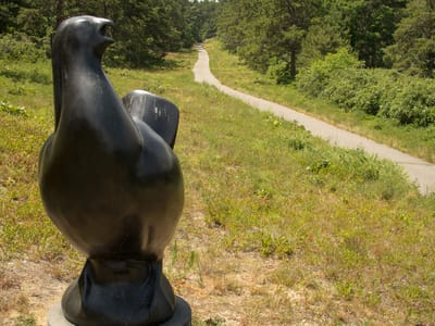 Manuel F. Correllus State Forest: "Boomer" and State Forest Trail