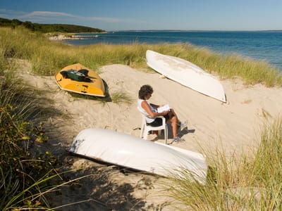 West Tisbury: Lolo reading in Lamberts Cove Dune