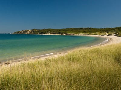 West Tisbury: Lamberts Cove Beach