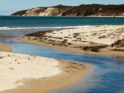 West Tisbury: Lamberts Cove Rivulet