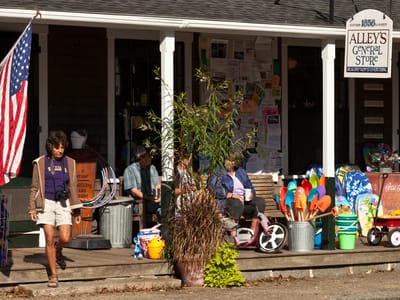 West Tisbury: Lolo at Alley&#039;s General Store