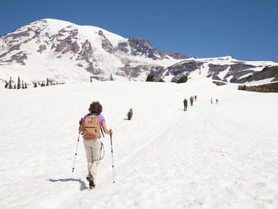 Mount Rainier National Park: Lolo on Skyline Trail