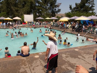 San Francisco North / Petaluma KOA and Side Trips to San Francisco: Petaluma KOA Pool