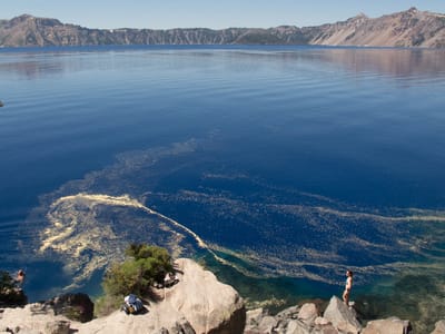 Crater Lake National Park: Cleetwood Cove