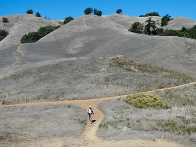 San Francisco North / Petaluma KOA and Side Trips to San Francisco: Herb on Matt Davis Trail