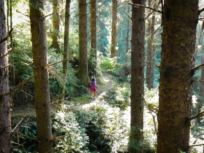 Sunset Bay State Park: Lolo Running Through Jungle