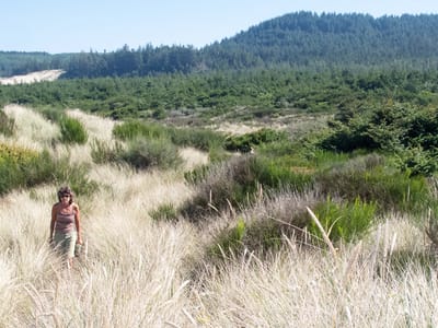 Oregon Dunes National Recreation Area: Lolo Hiking the Oregon Dunes National Recreation Area