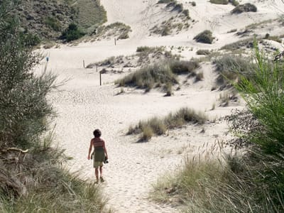 Oregon Dunes National Recreation Area: Oregon Dunes National Recreation Area