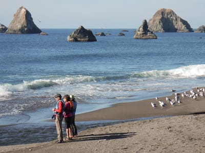 Sebastopol and Sonoma Coast State Park: Mouth of Russian River