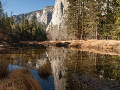 Yosemite National Park: El Capitan Reflection in the Merced River