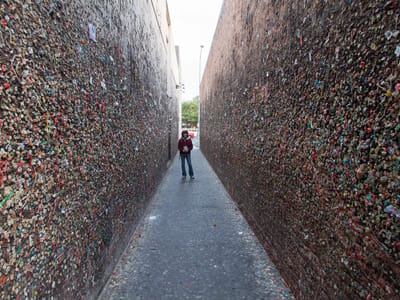 Morro Bay State Park and San Luis Obispo: Lolo in Bubblegum Alley