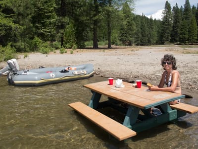 Lake Siskiyou Camp Resort: Lolo lunching on submerged Picnic Table