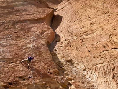 Bend: Tommy on Lead