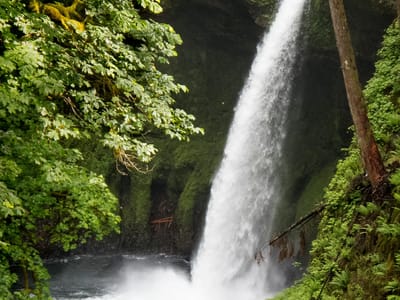 Columbia River Gorge National Scenic Area: Metlako Falls