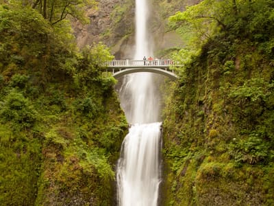 Columbia River Gorge National Scenic Area: Multnomah Falls